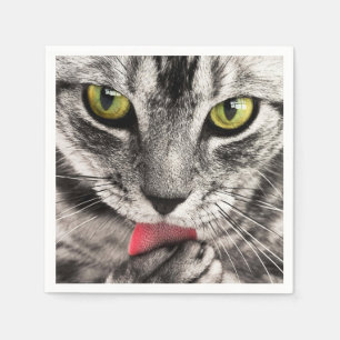 Serviette En Papier tabby