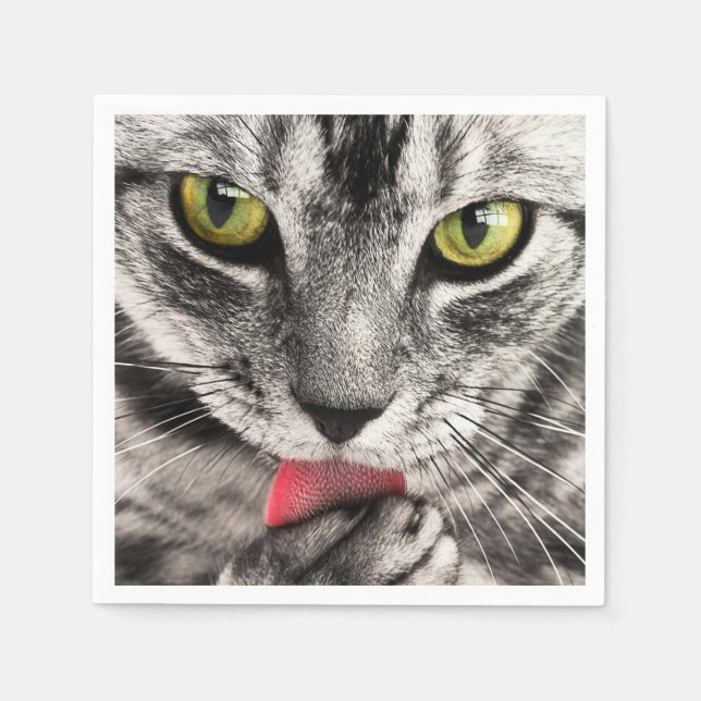 Serviette En Papier tabby (Devant)