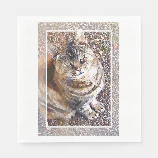SERVIETTE EN PAPIER TABLEAU CAT (Devant)