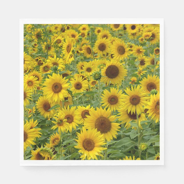 Serviette En Papier Terrain de tournesol jaune (Devant)