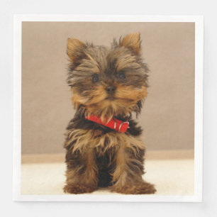Serviette En Papier Terrier Puppy du Yorkshire