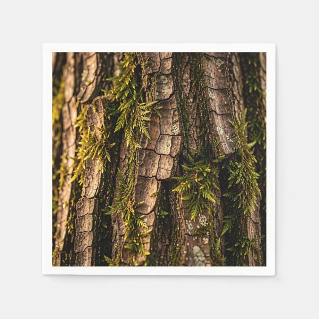 Serviette En Papier Texture de l'écorce d'arbre forestier moussu (Devant)