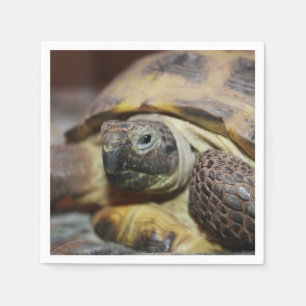 Serviette En Papier Tibbs