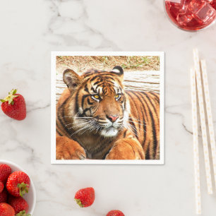 Serviette En Papier Tigre