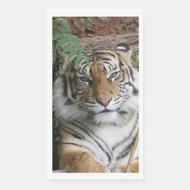Serviette En Papier Tigre 005 (Devant)