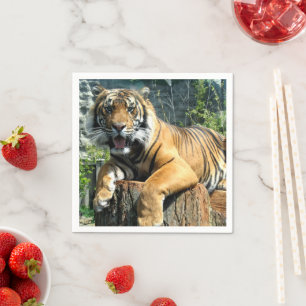 Serviette En Papier Tigre mignon