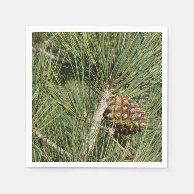 Serviette En Papier Torrey Pine Closeup California Botanical (Devant)