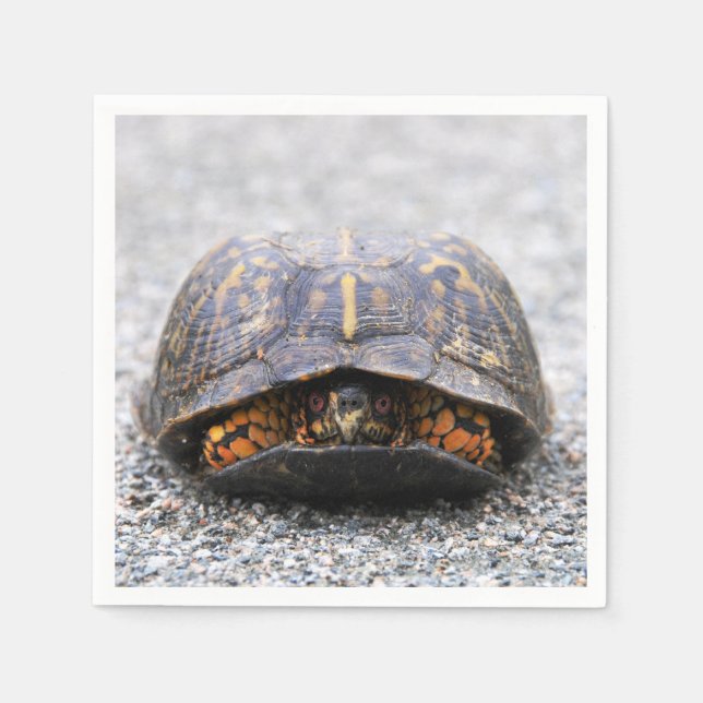 Serviette En Papier Tortue (Devant)