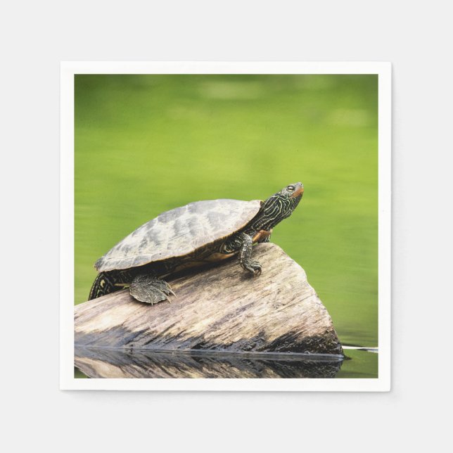 Serviette En Papier Tortue peinte sur un bûcher (Devant)