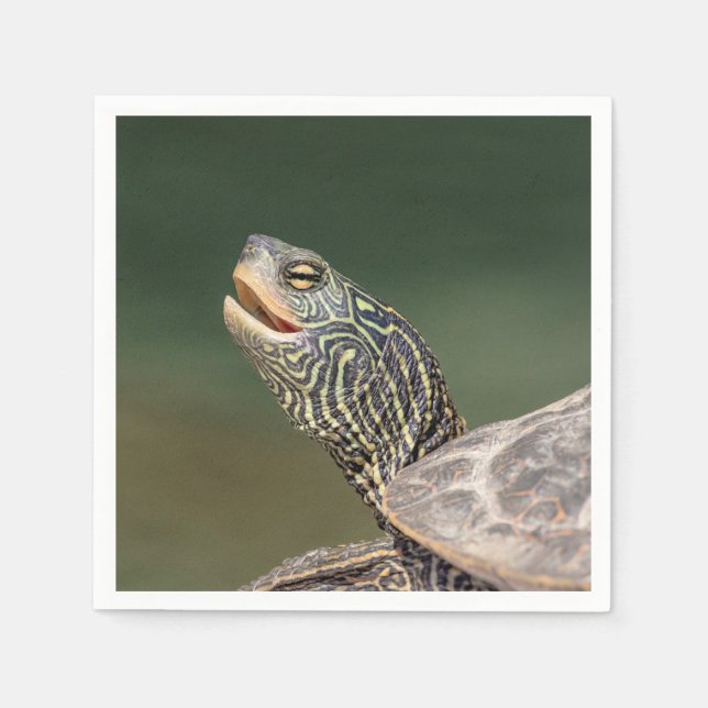 Serviette En Papier Tortue sur La Chute (Devant)