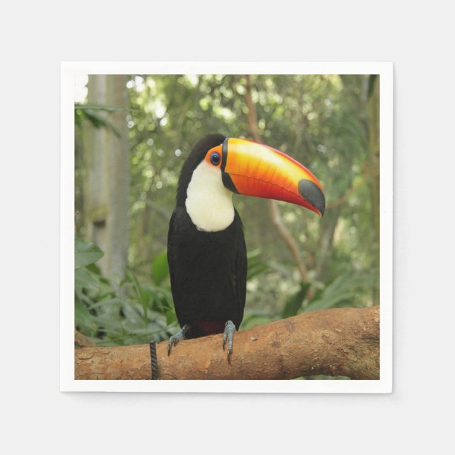 Serviette En Papier Toucan sur branche d'arbre (Devant)