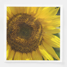 Tournesol Jaune
