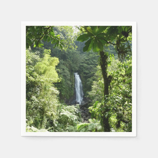 Serviette En Papier Trafalgar Falls Tropical Rainforest Photographie (Devant)