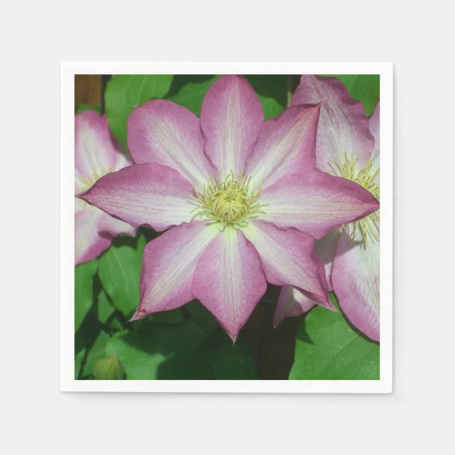 Serviette En Papier Trio de Clematis Pink and White Spring Vine (Devant)