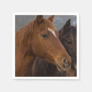 Serviette En Papier Triplés de cheval