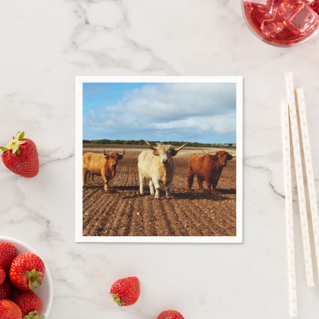 Serviette En Papier Trois vaches coquines Highland, serviettes en papi (En situation)
