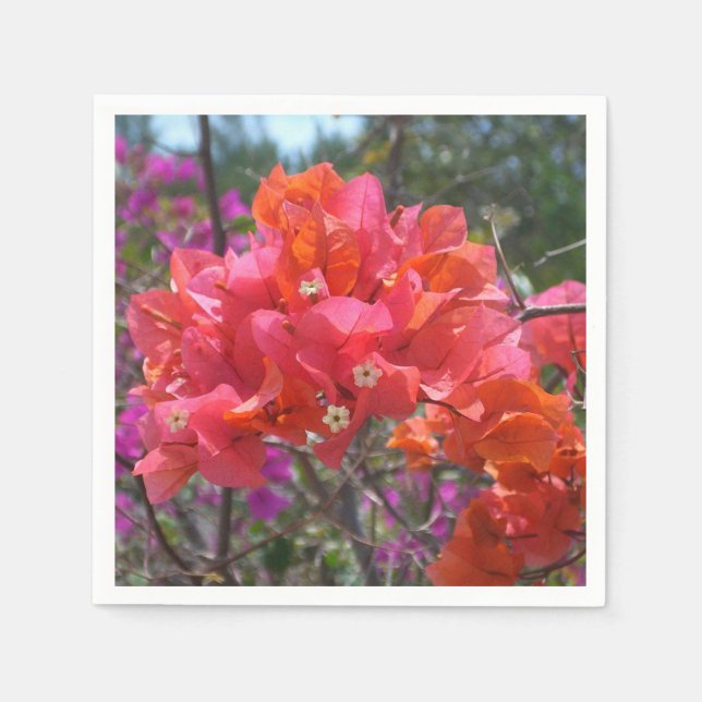 Serviette En Papier Tropical Pink Bougainvillea Island Floral (Devant)