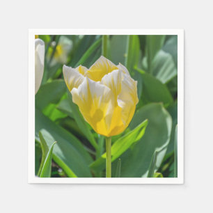 Serviette En Papier Tulipe jaune et blanche