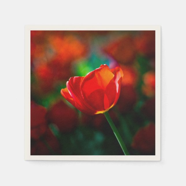 Serviette En Papier Tulipe rouge - Mystère de floraison (Devant)