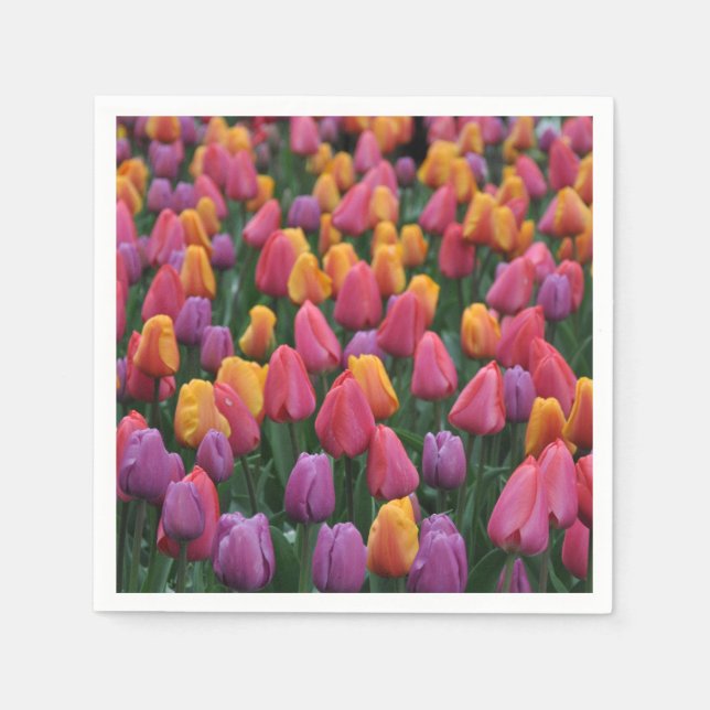Serviette En Papier Tulipes à ressort colorées (Devant)