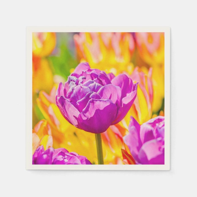 Serviette En Papier Tulipes Enchanter 12 (Devant)