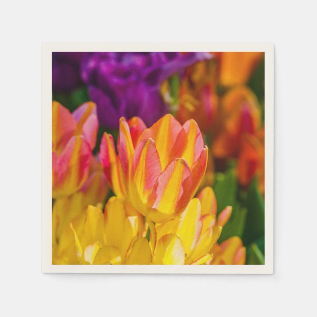 Serviette En Papier Tulipes Enchanter 16 (Devant)