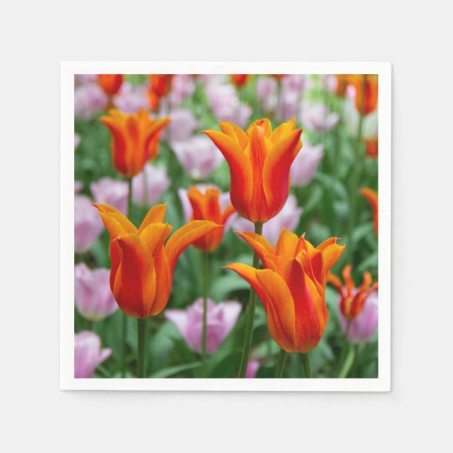 Serviette En Papier Tulipes orange vif dans le parc (Devant)