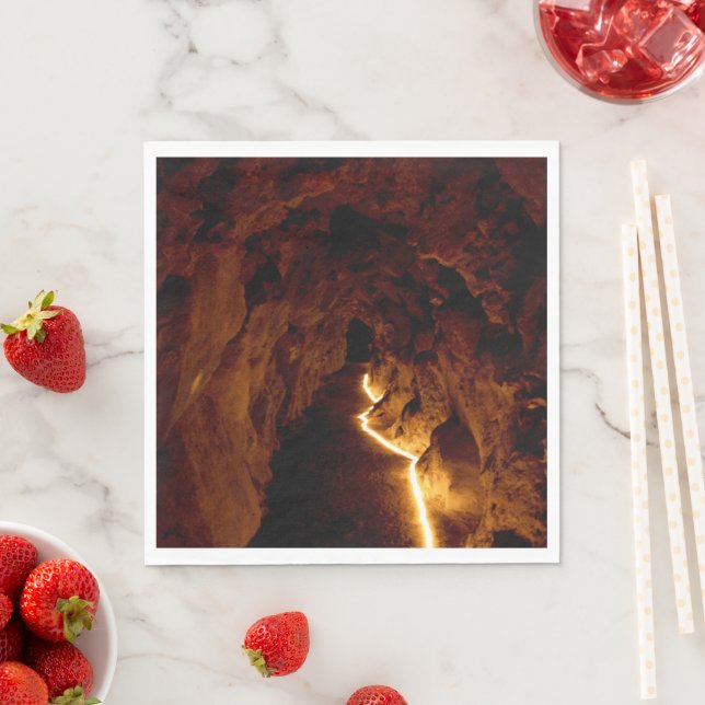 Serviette En Papier Tunnel secret (En situation)