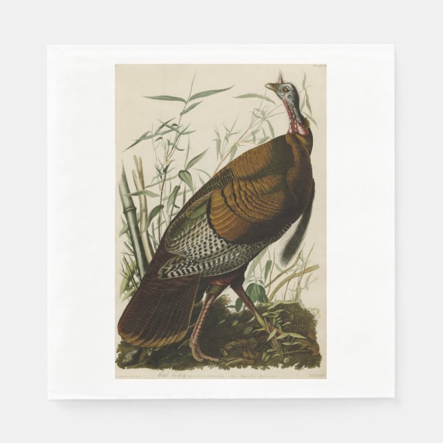 Serviette En Papier Turquie sauvage de Thanksgiving John James Audubon (Devant)