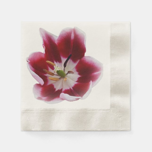 Serviette En Papier Tutelle rouge profonde (Devant)