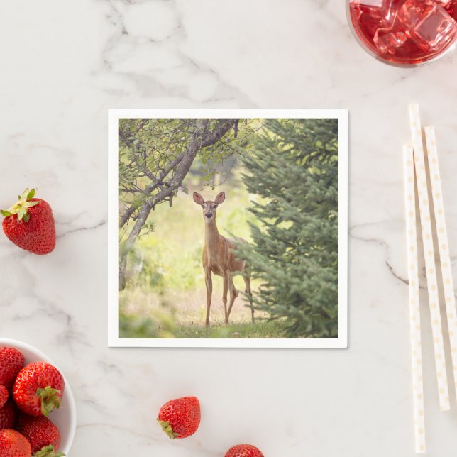 Serviette En Papier Un cerf solitaire  (En situation)