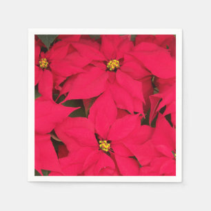 Serviette En Papier Un tas de Poinsettias de Noël aux couleurs vives