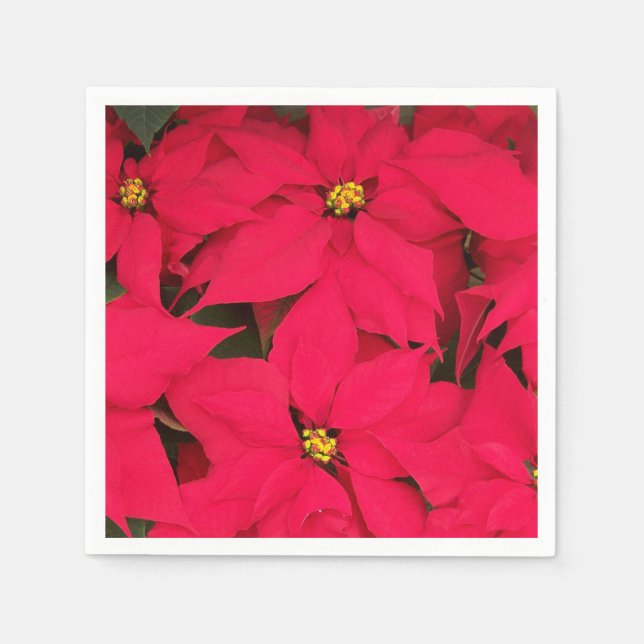 Serviette En Papier Un tas de Poinsettias de Noël aux couleurs vives (Devant)
