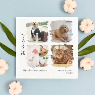 Serviette En Papier Unique 4 Photos Nous Faisons Trop Pet Chats Chiens