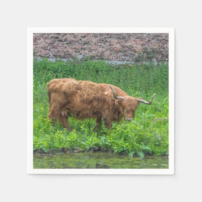 Serviette En Papier Vache de Highland (Devant)