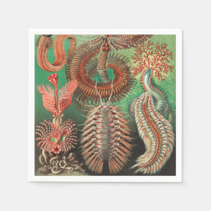 Serviette En Papier Vers, Annelids Chaetopoda par Ernst Haeckel