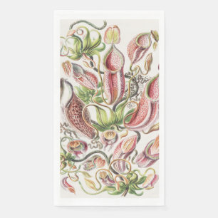 Serviette En Papier Vintage Ernst Haeckel Plante Pitcher Botanique