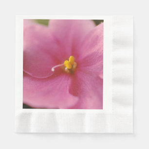 Serviette En Papier Violet africain rose pastel (Saintpaulia)