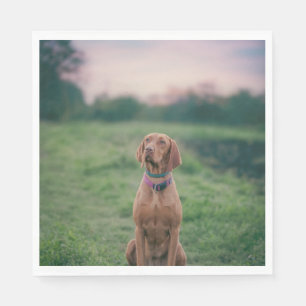 Serviette En Papier vizsla assis