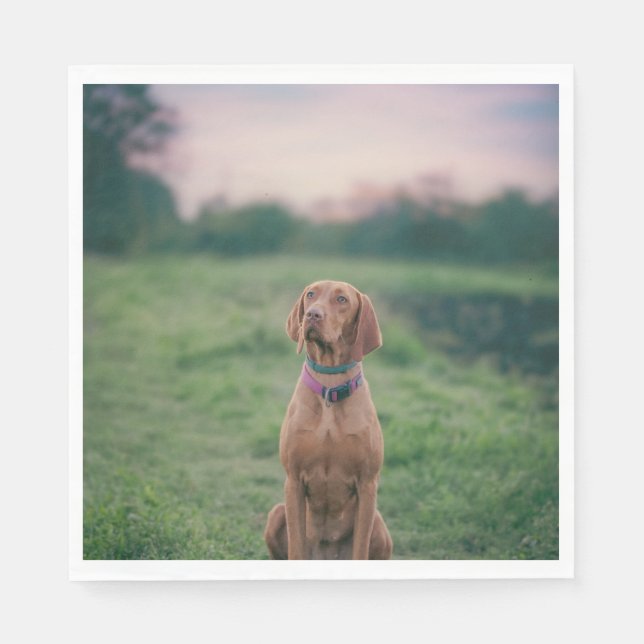 Serviette En Papier vizsla assise (Devant)