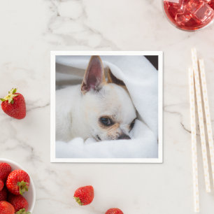 Serviette En Papier Votre chien animal de compagnie chiot photo person