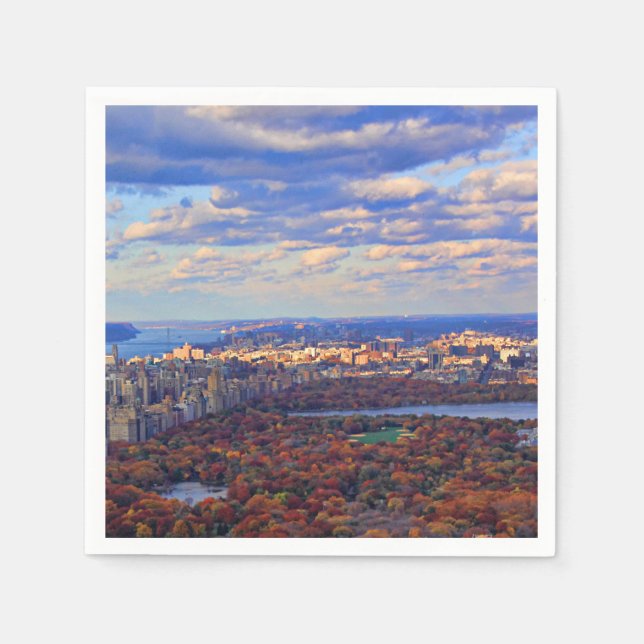 Serviette En Papier Vue d'en haut : Automne à Central Park 01 (Devant)