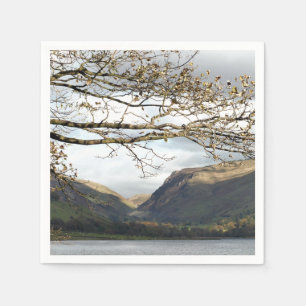 SERVIETTE EN PAPIER VUES DES ALLES