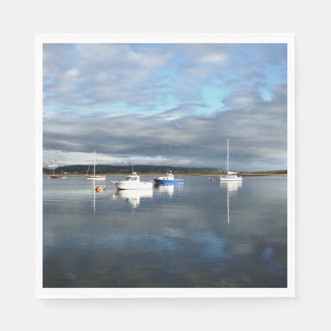 SERVIETTE EN PAPIER VUES DES ALLES (Devant)