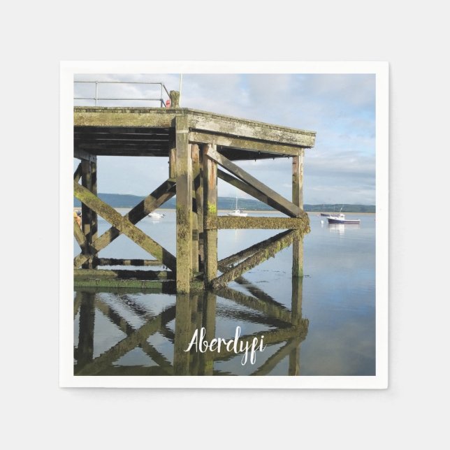 SERVIETTE EN PAPIER VUES DES ALLES (Devant)