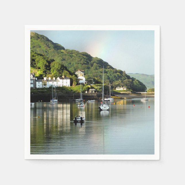 SERVIETTE EN PAPIER VUES DES ALLES (Devant)