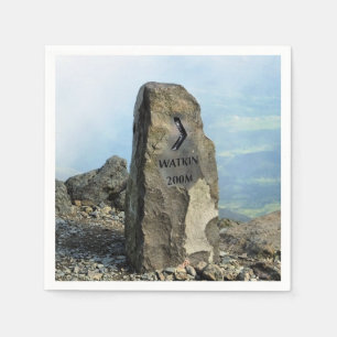 SERVIETTE EN PAPIER VUES DES ALLES