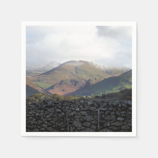 SERVIETTE EN PAPIER VUES DES ALLES (Devant)