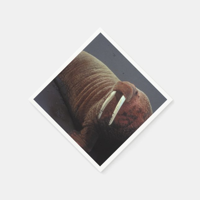 Serviette En Papier Walrus (Coin)