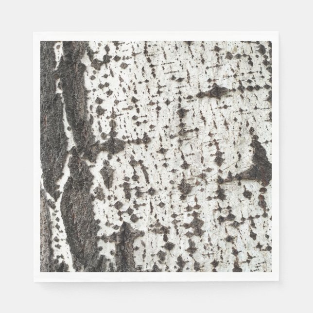 Serviette En Papier Weathered birch trunk (Devant)